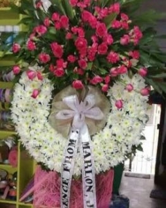 White & pink Spirit